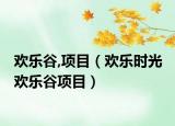 欢乐谷,项目（欢乐时光 欢乐谷项目）