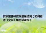 安家里的林茂根最后结局（如何看待《安家》里的林茂根）
