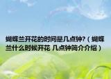 蝴蝶兰开花的时间是几点钟?（蝴蝶兰什么时候开花 几点钟简介介绍）
