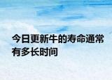 今日更新牛的寿命通常有多长时间