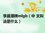 李晨潮牌mlgb（中 文叫法是什么）