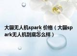 大疆无人机spark 价格（大疆spark无人机到底怎么样）