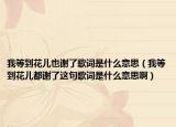 我等到花儿也谢了歌词是什么意思（我等到花儿都谢了这句歌词是什么意思啊）