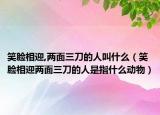 笑脸相迎,两面三刀的人叫什么（笑脸相迎两面三刀的人是指什么动物）