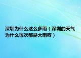 深圳为什么这么多雨（深圳的天气为什么每次都是大雨呀）