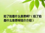 拍了拍是什么意思啊?（拍了拍是什么意思呀简介介绍）