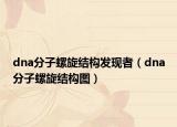 dna分子螺旋结构发现者（dna分子螺旋结构图）