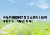 雨后新晴的原野,什么而清新（新晴原野旷下一句简介介绍）