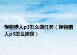 怪物猎人p3怎么做任务（怪物猎人p3怎么捕获）