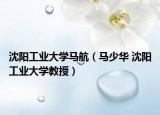 沈阳工业大学马航（马少华 沈阳工业大学教授）