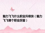 魅力飞飞什么职业升级快（魅力飞飞哪个职业厉害）