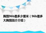 胸围96b是多少厘米（96b是多大胸围简介介绍）