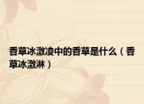 香草冰激凌中的香草是什么（香草冰激淋）