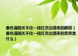春色满园关不住一枝红杏出墙来的解释（春色满园关不住一枝红杏出墙来的意思是什么）
