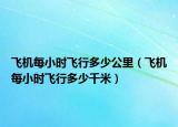 飞机每小时飞行多少公里（飞机每小时飞行多少千米）