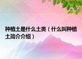 种植土是什么土类（什么叫种植土简介介绍）