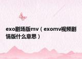 exo剧场版mv（exomv视频剧情版什么意思）
