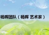 杨晖团队（杨晖 艺术家）
