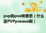pvp和pve啥意思（什么是PVPpveaoe啊）