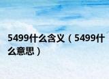 5499什么含义（5499什么意思）