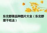 东北野菜品种图片大全（东北野菜干吃法）