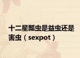 十二星瓢虫是益虫还是害虫（sexpot）