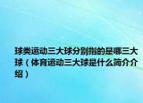 球类运动三大球分别指的是哪三大球（体育运动三大球是什么简介介绍）