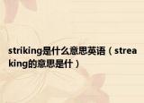 striking是什么意思英语（streaking的意思是什）