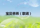 宝贝爸爸（歌词）