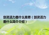 剑灵活力是什么意思（剑灵活力是什么简介介绍）