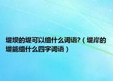 堤坝的堤可以组什么词语?（堤岸的堤能组什么四字词语）