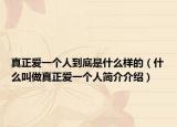 真正爱一个人到底是什么样的（什么叫做真正爱一个人简介介绍）