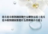 北斗北斗收到请回答什么梗怎么玩（北斗北斗收到请回答是什么意思简介介绍）