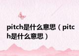 pitch是什么意思（pitch是什么意思）