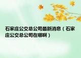 石家庄公交总公司最新消息（石家庄公交总公司在哪啊）