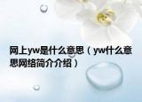 网上yw是什么意思（yw什么意思网络简介介绍）