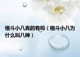 格斗小八真的有吗（格斗小八为什么叫八神）