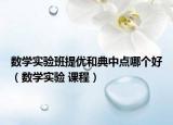 数学实验班提优和典中点哪个好（数学实验 课程）