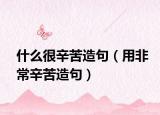 什么很辛苦造句（用非常辛苦造句）