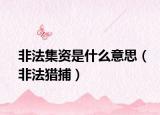 非法集资是什么意思（非法猎捕）