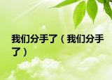 我们分手了（我们分手了）