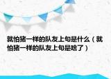 就怕猪一样的队友上句是什么（就怕猪一样的队友上句是啥了）