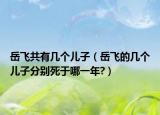 岳飞共有几个儿子（岳飞的几个儿子分别死于哪一年?）