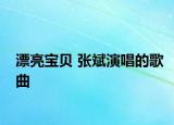 漂亮宝贝 张斌演唱的歌曲