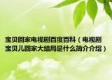 宝贝回家电视剧百度百科（电视剧宝贝儿回家大结局是什么简介介绍）