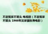 不是冤家不聚头 电视剧（不是冤家不聚头 1966年吴家骧执导电影）