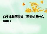 白字戏和西秦戏（西秦戏是什么语言）