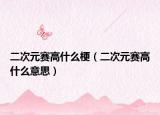 二次元赛高什么梗（二次元赛高什么意思）