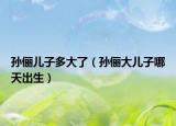 孙俪儿子多大了（孙俪大儿子哪天出生）