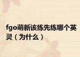 fgo萌新该练先练哪个英灵（为什么）